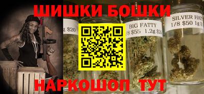 МДПВ Бийск