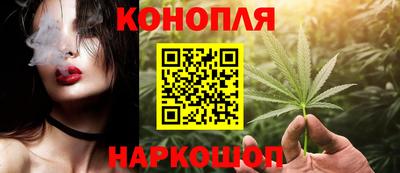 МДПВ Бийск