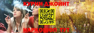 МДПВ Бийск