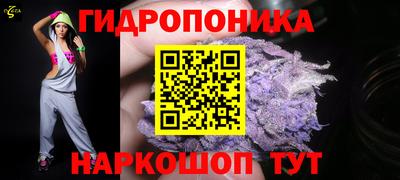 МДПВ Бийск