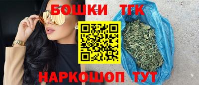 МДПВ Бийск