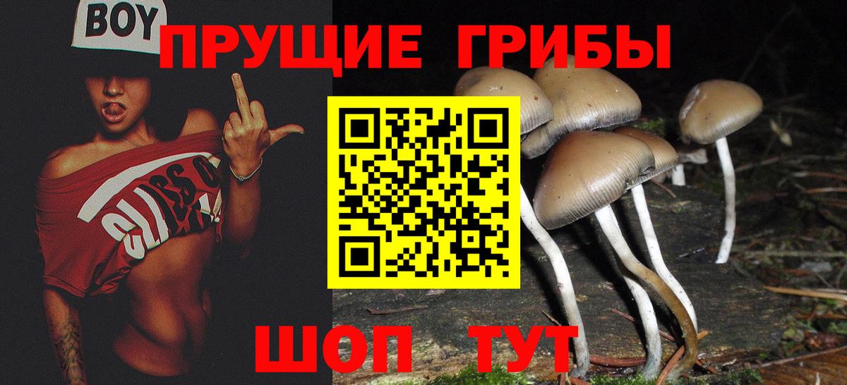 Галлюциногенные грибы MAGIC MUSHROOMS Артём