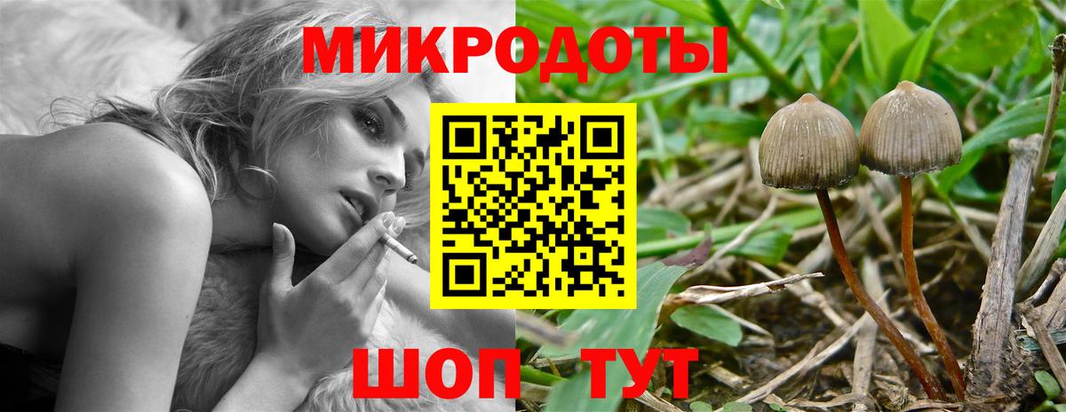 купить закладку  Псилоцибиновые грибы прущие грибы  Вход с VPN  Артём 